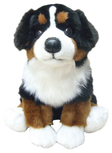 Bernese mountain dog teddy - mountain,