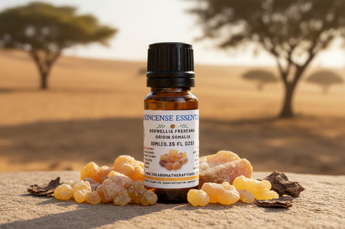 Frankincense frereana - frankincense,