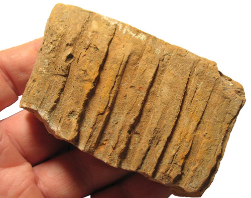 Roman bath house under - , floor