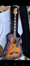Acoustic electro bass - acoustic, guitar