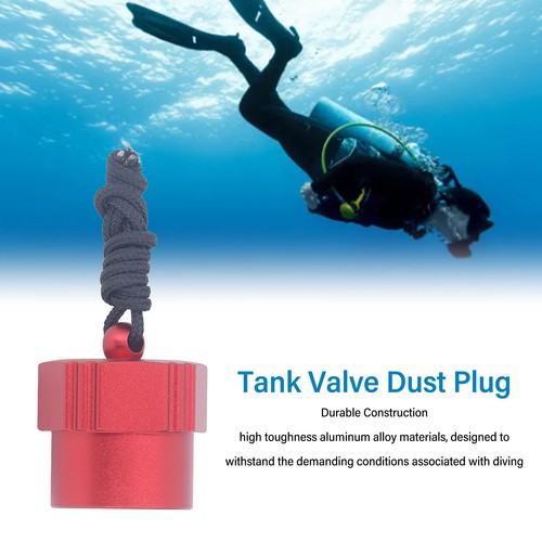 Tank valve dust plug aluminum - dust,