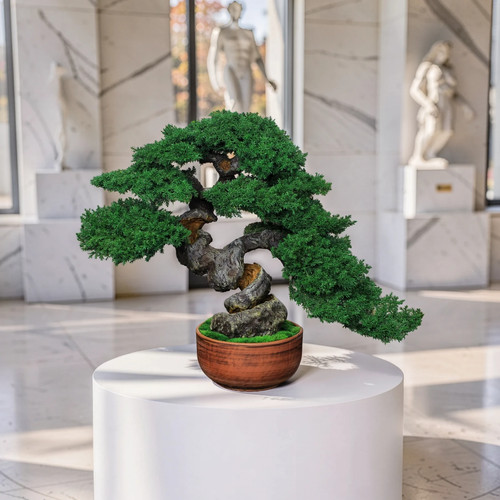 Preserved juniper bonsai - preserved, tree