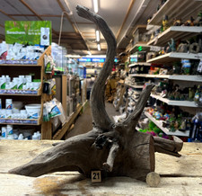 Small/Medium Corbo Root Aquarium Bogwood Vivarium Root Fish Tank Driftwood