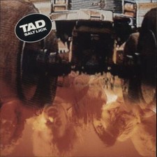 Salt Lick Tad German 12" vinyl single record (Maxi) GR0076