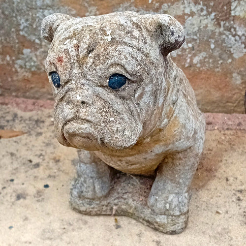Grey stone dog - dog, garden