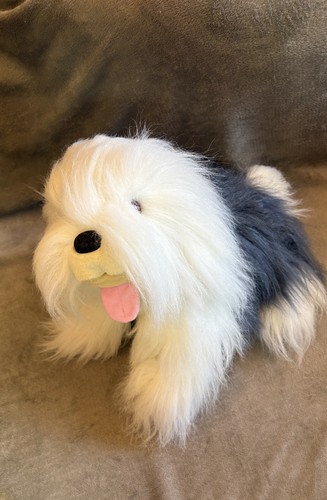 Peeko grey white sheep dog - sheep,