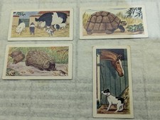 Ewbanks Ltd Animals Of The