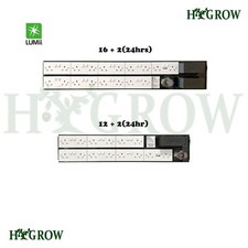 Lumii black lighting - lumii, timer