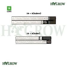 Lumii Black Lighting Timer