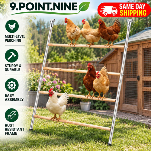 104 143cm outdoor chicken - outdoor,
