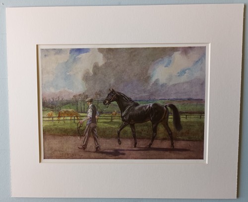 Lionel edwards racehorse - lionel,