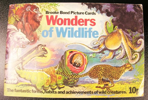 Wonders wildlife brooke - wildlife,