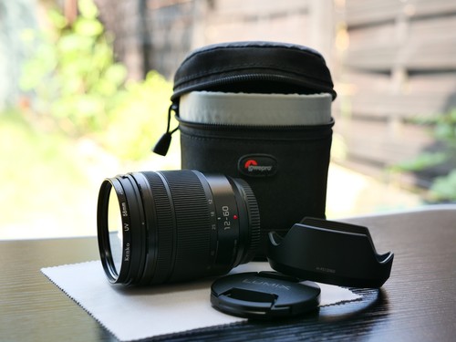 Panasonic lumix vario - g,