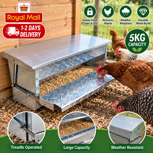 Auto chicken treadle - treadle, feeder