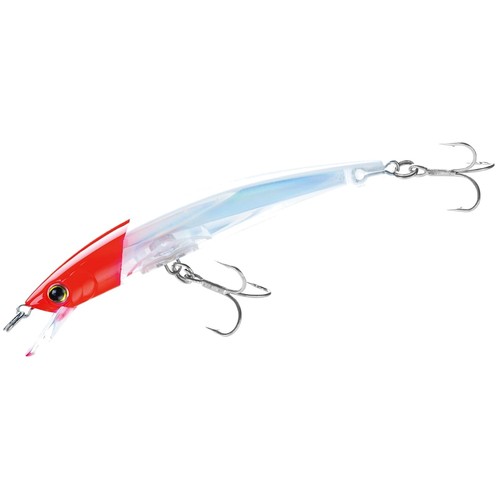 Red head crystal minnow - head,