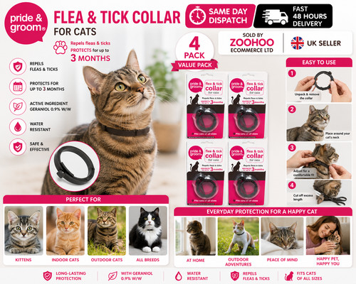Pride groom flea - x, &