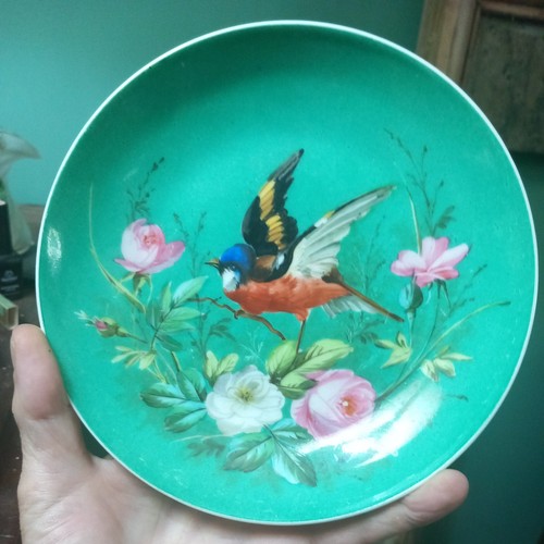 Hand painted bird plate - bird, 19th