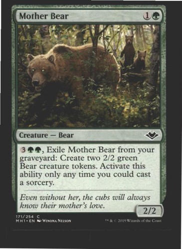 Mother bear 171 common modern - bear,