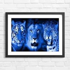 Three majestic big - three, wild
