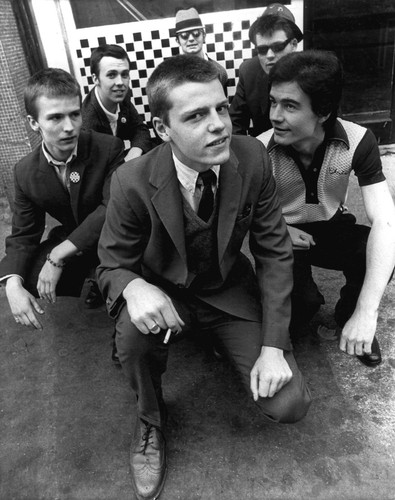 Madness poster - madness,