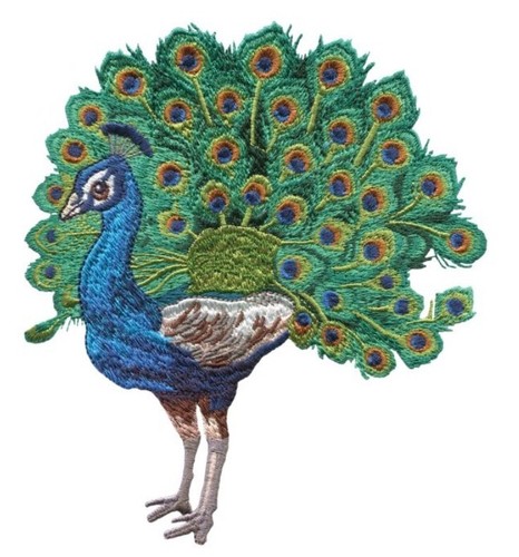 Machine embroidery designs usb - designs,