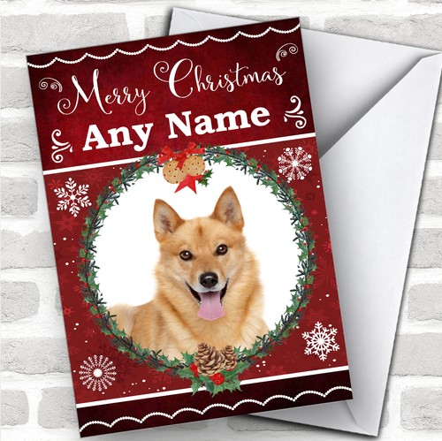 Finnish spitz dog traditional - spitz,