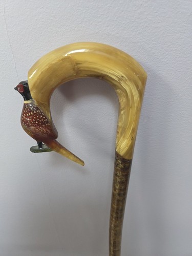 Pheasant rams horn - pheasant,