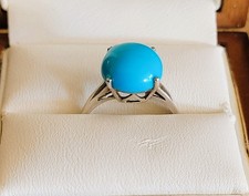 Large Arizona Sleeping Beauty