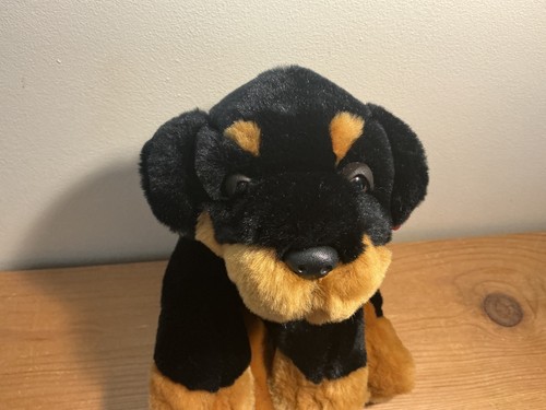Rottweiler cuddle puppy dog - rottweiler,