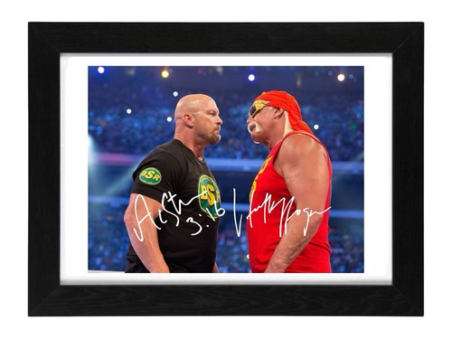 Steve austin and hulk hogan - hulk,