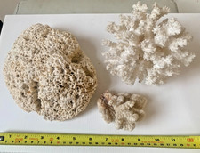 Vintage Coral Pieces Ornaments x 3 - Fish Tank / Aquarium ? 