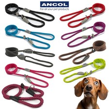 SLIP Lead Ancol Rope Dog  Training Strong Nylon Control Obedience Show Halter