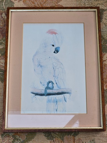 Framed edward lear - edward,