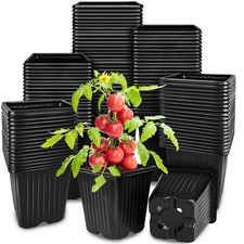 100Pcs Square Plant Nursery
