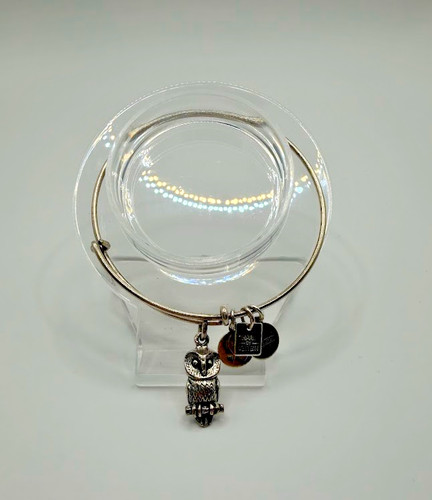 Alex and ani - alex, charm