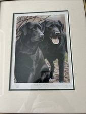 Nigel Hemming, Ready for