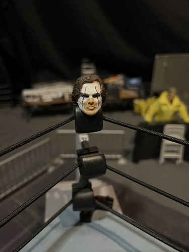 Sting 1996 crow wcw nwo - 1996,