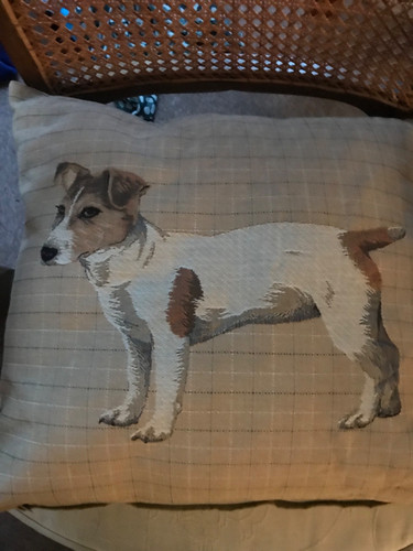 Jack russell cushion cover - jack,