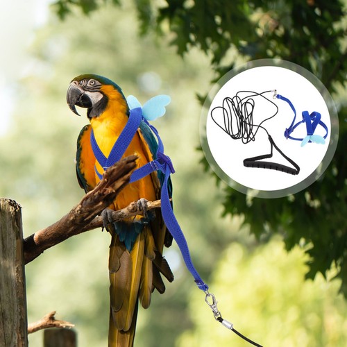 Pet parrot harness set - pet,