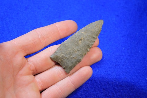 Authentic prehistoric dalton - authentic,