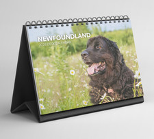Newfoundland Desk Calendar 2026-2027: Standing Flip Desktop Calendar