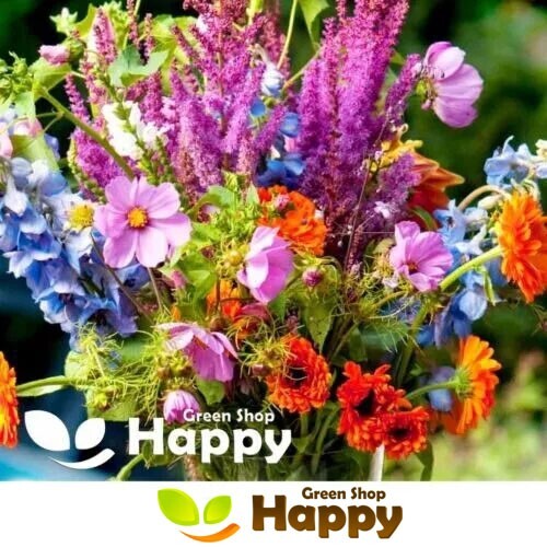 Cut flowers mix - cut,