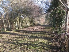 HELLINGLY ASYLUM HOSPITAL