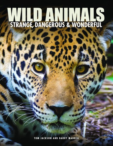 Wild animals strange - wild, animals: