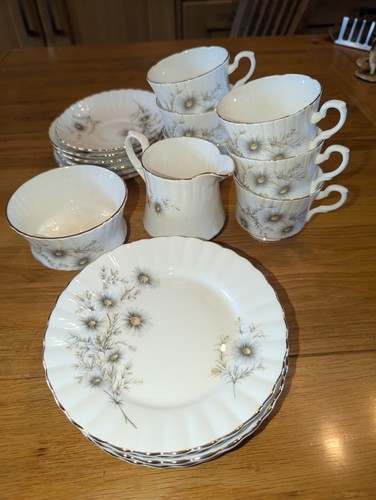 Salisbury vintage bone china