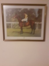The Legendary ARKLE Pat