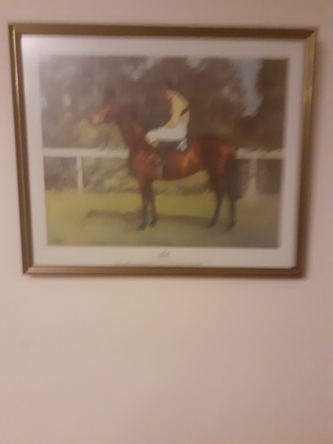 The legendary arkle pat - the,