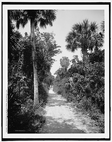 Bicycle path ostrich farm - path, to