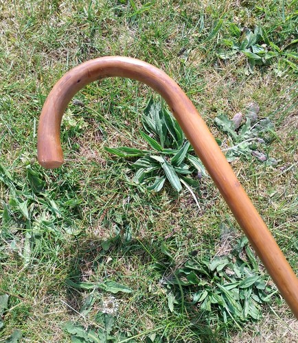 Unusual wooden walking - wooden,