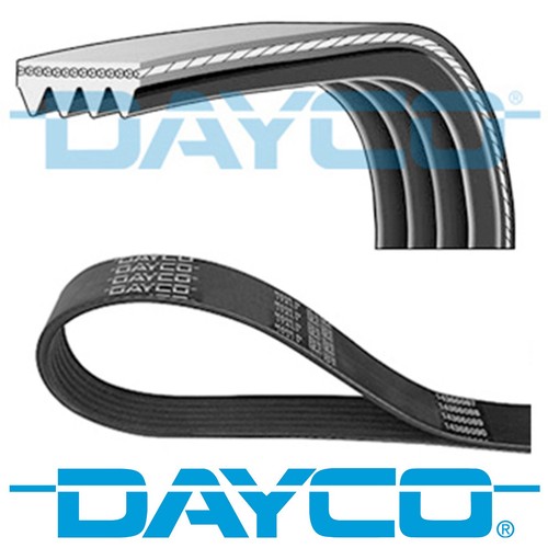 Genuine dayco ribs 820mm - genuine, 4